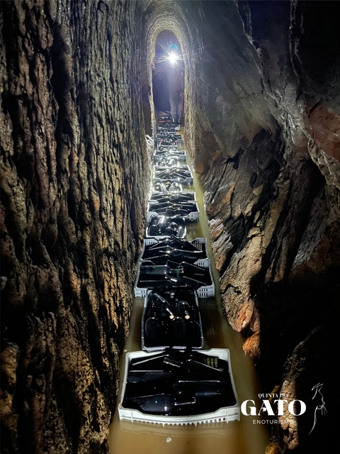 lugar do gato mina 1